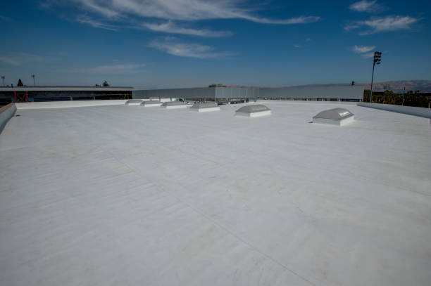 Best Roof Coating and Sealing  in USA